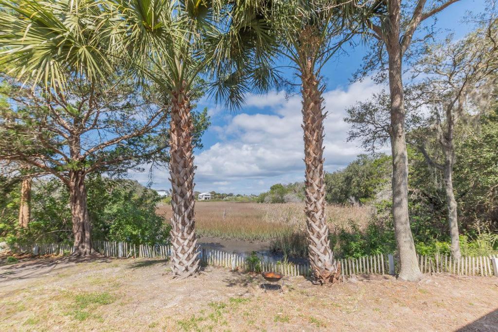 Marsh Front Birders Paradise Close To Beaches And Downtown Villa St. Augustine Exterior foto